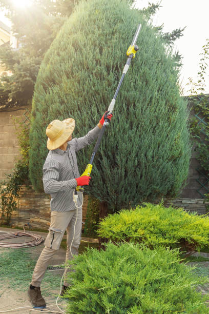 Lawn Watering Services in Belwood, NC